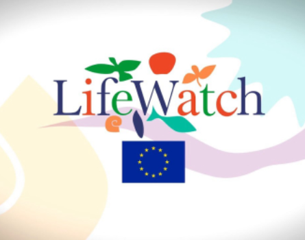 Logotipo de LifeWatch, una plataforma que colabora con WFC TECH CONSULTING para integrar contratos inteligentes compatibles con la plataforma blockchain LifeBlock. El proyecto garantiza la seguridad, escalabilidad y privacidad de los contratos, optimizando su uso de recursos y facilitando la integración con APIs y herramientas ya existentes